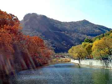 管家婆黑白马报图库，刮泥地垫